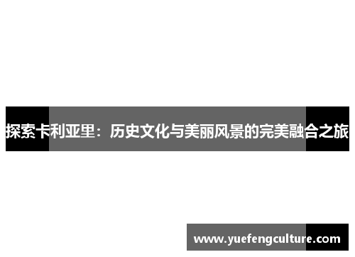 探索卡利亚里：历史文化与美丽风景的完美融合之旅