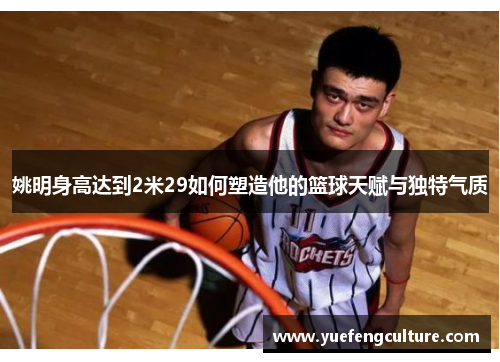 姚明身高达到2米29如何塑造他的篮球天赋与独特气质