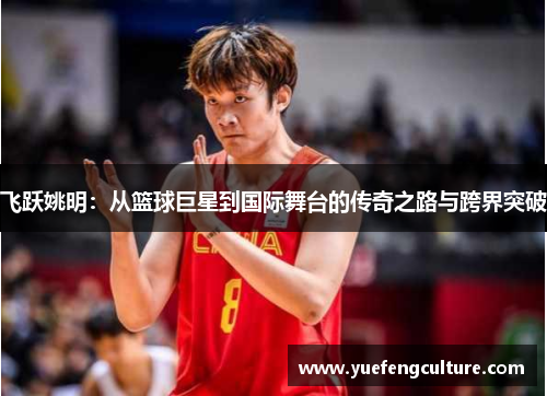 飞跃姚明：从篮球巨星到国际舞台的传奇之路与跨界突破