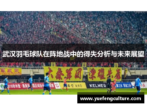 武汉羽毛球队在阵地战中的得失分析与未来展望