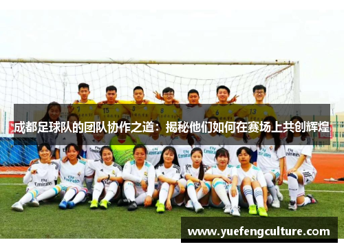 成都足球队的团队协作之道：揭秘他们如何在赛场上共创辉煌