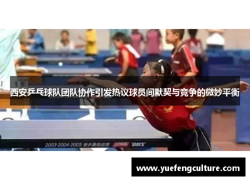 西安乒乓球队团队协作引发热议球员间默契与竞争的微妙平衡