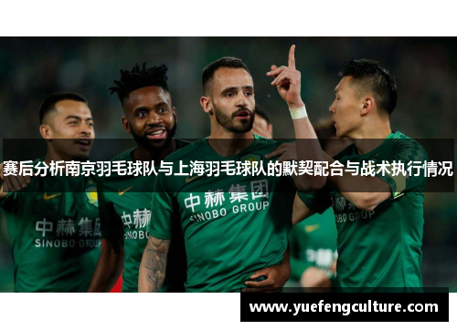 赛后分析南京羽毛球队与上海羽毛球队的默契配合与战术执行情况