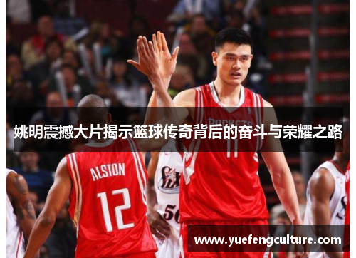 姚明震撼大片揭示篮球传奇背后的奋斗与荣耀之路