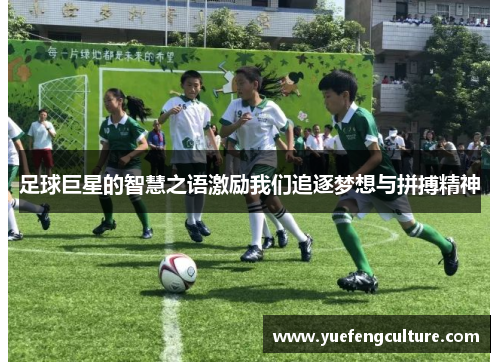 足球巨星的智慧之语激励我们追逐梦想与拼搏精神