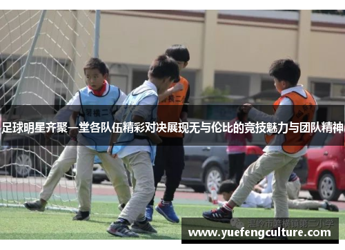 足球明星齐聚一堂各队伍精彩对决展现无与伦比的竞技魅力与团队精神