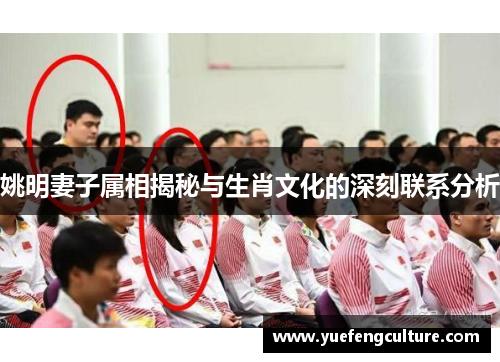 姚明妻子属相揭秘与生肖文化的深刻联系分析