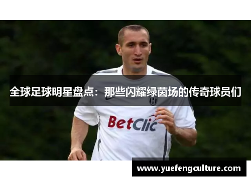 全球足球明星盘点：那些闪耀绿茵场的传奇球员们