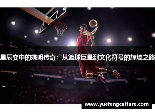 星辰变中的姚明传奇：从篮球巨星到文化符号的辉煌之路
