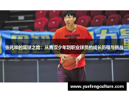 张兆旭的篮球之路：从青涩少年到职业球员的成长历程与挑战