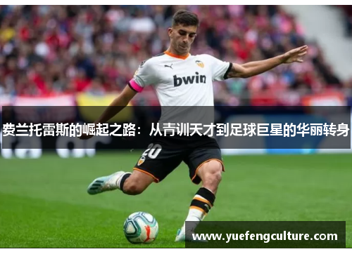 费兰托雷斯的崛起之路：从青训天才到足球巨星的华丽转身